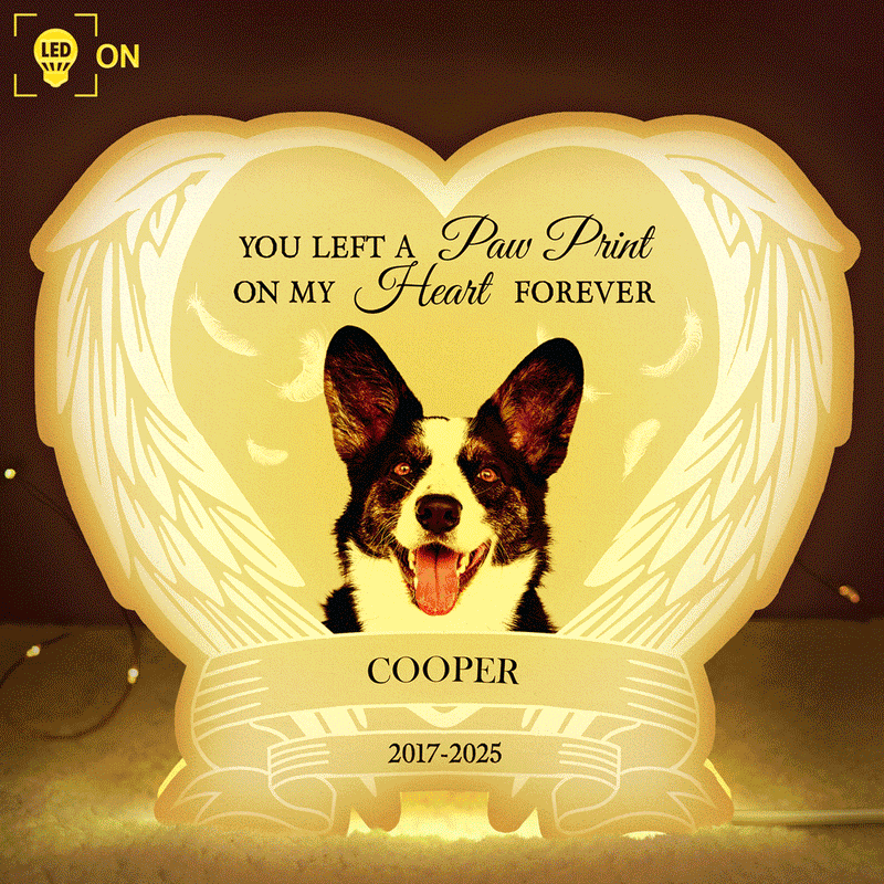 Pet Lovers,Cat Lovers,Dog Lovers,Sad,Memorial - Custom Photo Forever Loved Memorial Dog Cat - Personalized Custom Shaped Light Box