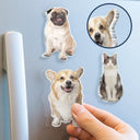Custom Photo Cute Dog And Cat Gift For Pet Lovers - Personalized Acrylic Fridge Magnet