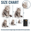 Custom Photo Cute Dog And Cat Gift For Pet Lovers - Personalized Acrylic Fridge Magnet