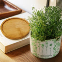 Gift For Bestie, Old Best friends, Happy - Toile De Jouy Birth Flower Grow An Old Friend - Personalized Ceramic Plant Pot
